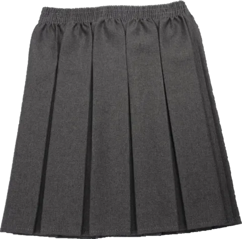 Grey Box Pleated Skirt